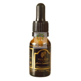 ACEITE ESENCIAL INCIENSO 17Ml. VINCA MINOR