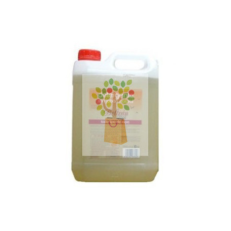 DETERGENTE LIQUIDO 5Lt. BELTRAN VITAL