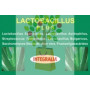 LACTOBACILLUS PLUS 60 CAPSULAS INTEGRALIA