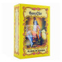 HENNA RUBIO INTENSO 100Gr. RADHE SHYAM