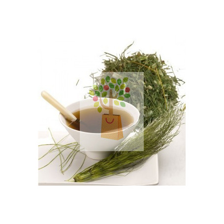 COLA DE CABALLO 100 Gr. ROSANA (DIPLAN)