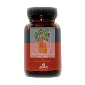 RODIOLA 300MG 50 CAPSULAS TERRANOVA