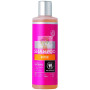 CHAMPU DE ROSA CABELLO SECO ECO 500 ML URTEKRAM