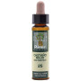ELIXIR FLORAL 25 CASTAÑO ROJO 10ML PLANTIS