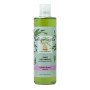 CHAMPU CABELLOS GRASOS 300Ml. ALGOLOGIE