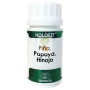HOLOFIT PIÑA, PAPAYA, HINOJO 50 CAPSULAS EQUISALUD