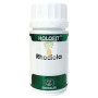 HOLOFIT RHODIOLA 50 CAPSULAS EQUISALUD