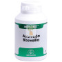 AYURVEDA BOSWELLIA 180 CAPSULAS EQUISALUD