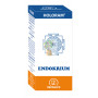 HOLORAM ENDOKRIUM 60 CAPSULAS EQUISALUD