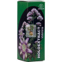 HOLOEXTRACT VALERIANA 50Ml. EQUISALUD