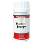 HOLOMEGA INSTANT-ENERGY 50 CAPSULAS EQUISALUD