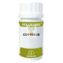HOLOFUNGI COPRINUS 50 CAPSULAS EQUISALUD