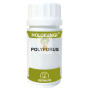 HOLOFUNGI POLYPORUS 50 CAPSULAS EQUISALUD