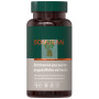 ECHINACEA PURPUREA-ANGUSTIFOLIA EXTRACTO 60 CÁPSULAS BONUSAN