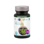 ALCACHOFA 100 COMPRIMIDOS 500Mg. SAKAI