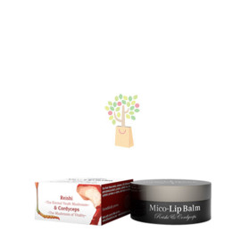 MICO-LIP BALM 10Ml. HIFAS DA TERRA