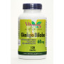 GINKGO BILOBA 120 CAPSULAS VBYOTICS