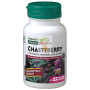 SAUZGATILLO 150Mg. 60 CAPSULAS NATURE´S PLUS