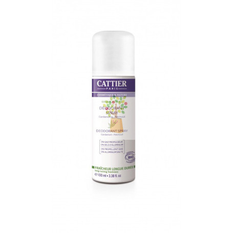 DESODORANTE SPRAY BRUME ACTIVE 100Ml. CATTIER PARIS