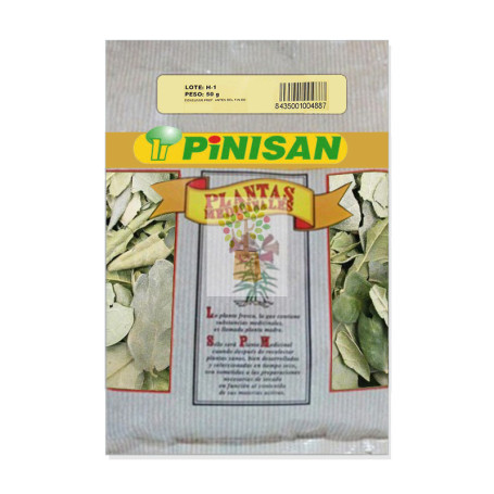 BOLSA BOLDO HOJAS 40Gr. PINISAN