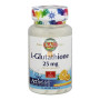 L-GLUTATION 25Mg. 90 COMPRIMIDOS KAL
