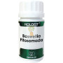 HOLOFIT BOSWELLIA FITOSOMADA 50 CAPSULAS EQUISALUD