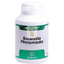 HOLOFIT BOSWELLIA FITOSOMADA 180 CAPSULAS EQUISALUD