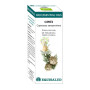 BIO ESSENTIAL OIL CIPRES 10Ml. EQUISALUD