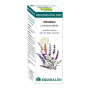 BIO ESSENTIAL OIL ESPLIEGO 10Ml. EQUISALUD