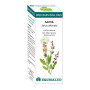 BIO ESSENTIAL OIL SALVIA 10Ml. EQUISALUD