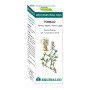 BIO ESSENTIAL OIL TOMILLO 10Ml. EQUISALUD