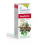GAULTERIA 10Ml. ESENTIAL AROMS