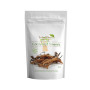 CORDYCEPS 100Gr. SALUD VIVA