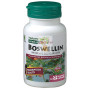 BOSWELLIN 60 CAPSULAS NATURE´S PLUS