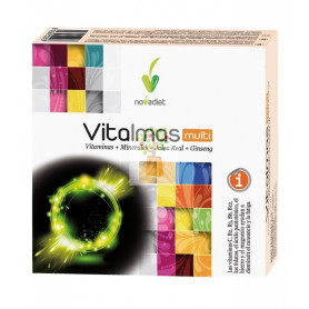 VITALMAS MULTI 30 CAPSULAS NOVA DIET