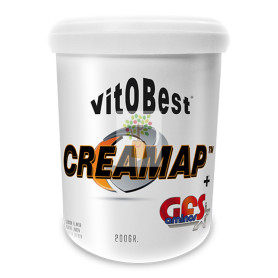 CREAMAP + GFS AMINOS POWDER 200Gr. LIMON VIT.O.BEST