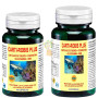 CARTIROBIS PLUS PACK 120 CAPSULAS ROBIS