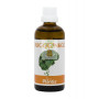 OLIGOGINKGO 100Ml. PLANTIS