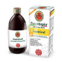 GASTRICOL 500Ml. GIANLUCA MECH
