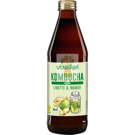 KOMBUCHA LIMA Y JENGIBRE 330Ml. VOELKEL