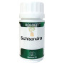 HOLOFIT SCHISANDRA 50 CAPSULAS EQUISALUD