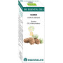 BIO ESSENTIAL OIL CEDRO 10Ml. EQUISALUD