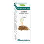 BIO ESSENTIAL OIL CILANTRO 10Ml. EQUISALUD