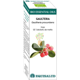 BIO ESSENTIAL OIL GAULTERIA 10Ml. EQUISALUD