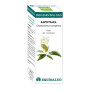 BIO ESSENTIAL OIL RAVINTSARA 10Ml. EQUISALUD