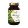 MORINGA EN EXTRACTO BIO 90 CAPSULAS 520Mg. SOL NATURAL