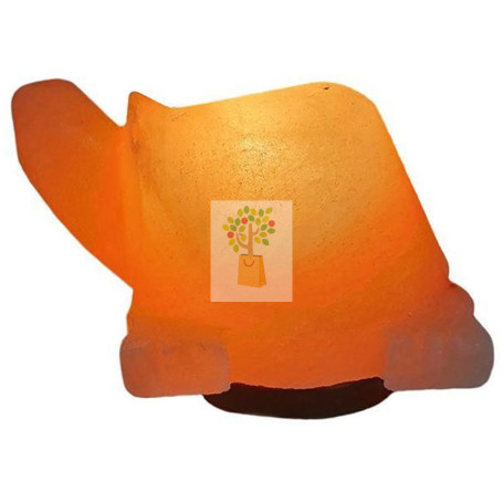 LAMPARA TORTUGA ASFAND SALTS