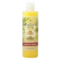 CHAMPU CABELLO SECO Y CASTIGADO 300Ml. ALGOLOGIE