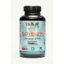 L-CARNITINA 1.000Mg. 50 CAPSULAS VBYOTICS