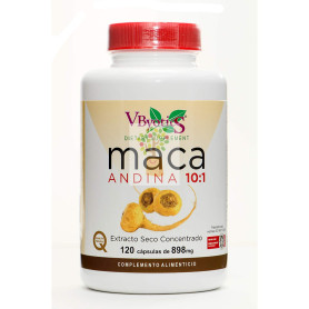 MACA ANDINA 120 CAPSULAS VBYOTICS